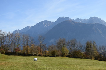 Osttirol, Lienz, Lienzer Dolomiten, Lienzer Talboden, Ederplan, Herbst, Rauchkofel, Baum, Laub,...