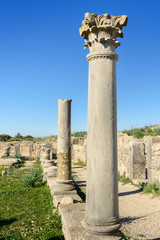 Columns in Roman ruins, ancient Roman city of Volubilis. Morocco