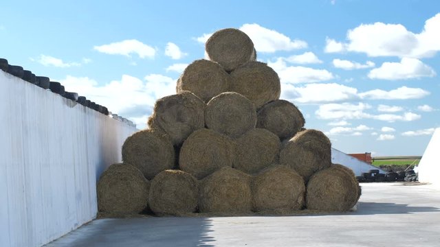 Dried bales of straw. Vintage agriculture, 4k video background.