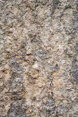 Concrete wall