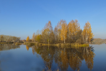 Autumn landscape. Trees with yellow leaves reflected in the water of the lake.