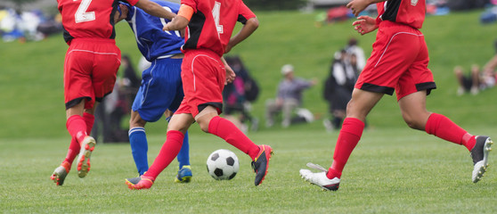 Fototapeta premium サッカー フットボール