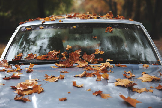 Car covered with yellow autumn leaves