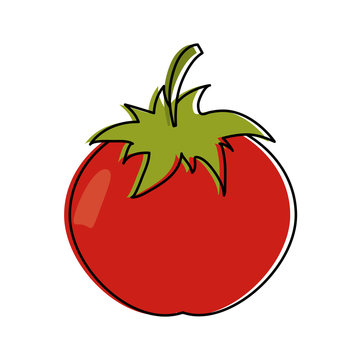 tomato fruit icon image vector illustration design 