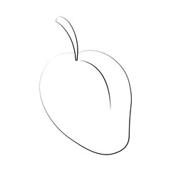 mango fruit icon image vector illustration design  black sketch line