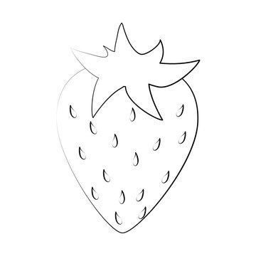 strawberry fruit icon image vector illustration design  black sketch line