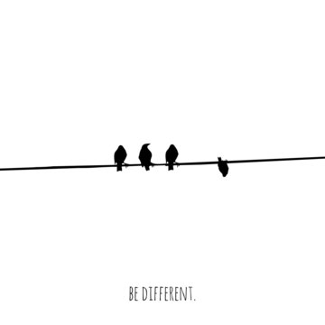 Funny and minimalistic concepts of a bird trying to be different. Vector illustration. Modern design.	