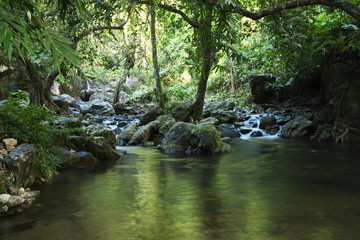 Waterfall in the Shade