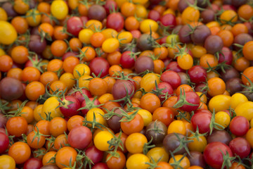 Isolated View of Organic Cherry Red and Yellow Tomatoes