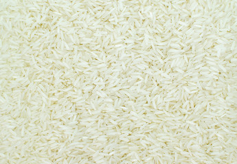 Raw white rice is suitable for use as an agricultural specimen.