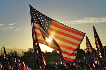 field of flags - 177369916