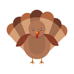 cartoon turkey icon