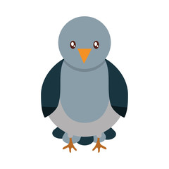 pigeon bird icon