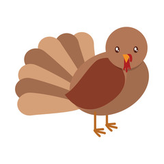 cartoon turkey icon