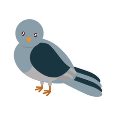 pigeon bird icon