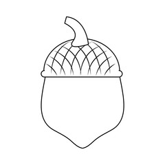 acorn icon image