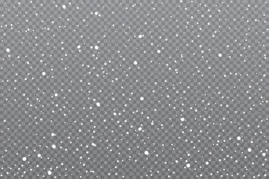Realistic falling snow on transparent background. Vector illustration.
