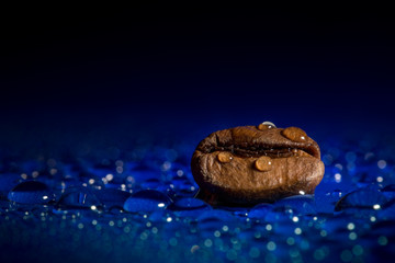 Wet coffee bean macro