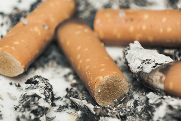 Used Cigarette Filters Macro