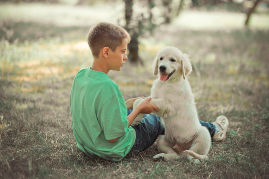 Retriever pup Lovely scene handsom teen boy enjoying summer time vacation with best friend dog ivory white labrador puppy.Happy airily careless childhood life in world of dreams