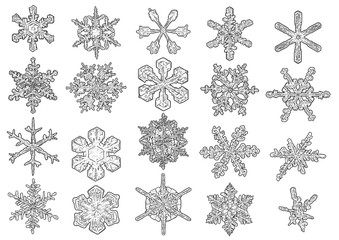 Snowflakes illustration, drawing, engraving, ink, line art, vector