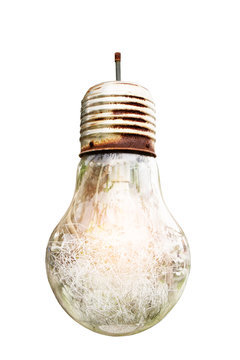 Old bulb isolate on white background.