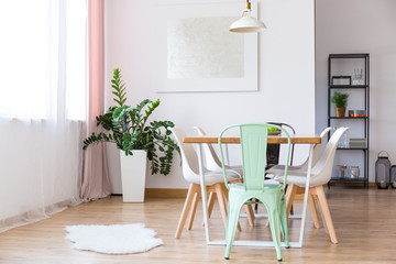 Plant standing in the flat