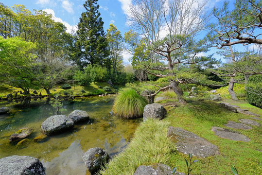 Japanese garden at Hamilton Botanical Gardens