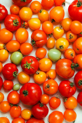 Fresh organic tomatoes of different colors on white textile background. Harvest concept. Overhead view, natural lighting, copy space.