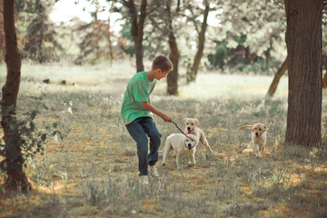 Retriever pup Lovely scene handsom teen boy enjoying summer time vacation with best friend dog ivory white labrador puppy.Happy airily careless childhood life in world of dreams