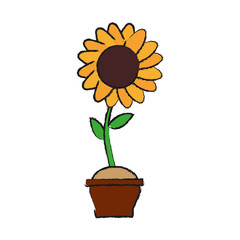 Obraz premium beautiful flower design