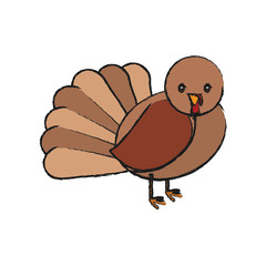 cartoon turkey icon