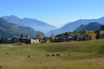 Panoramica della valle di Torgnon