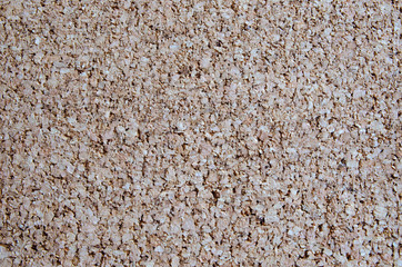 Image of pith texture.