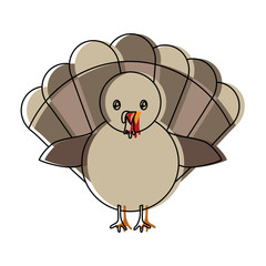 cartoon turkey icon