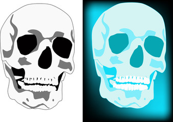 two skulls illustration