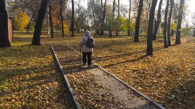 A woman walks through the Park with sticks for Nordic walking autumn day.