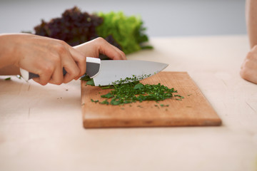 Close-up of human hands cooking vegetables salad in kitchen. Healthy meal and vegetarian concept