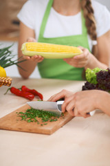 Close-up of human hands cooking vegetables salad in kitchen. Healthy meal and vegetarian concept