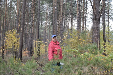 мужчина собирает грибы © sashasandro