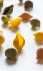 Typical Italian conchiglie pasta