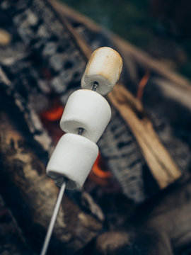 Marshmallows roasting
