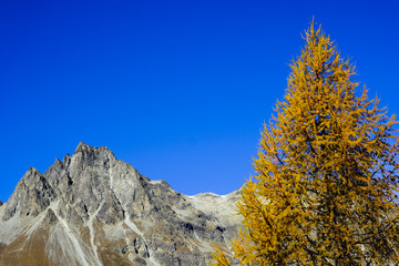 Autumn in the valley of Engadin, Graubünden, Switzerland, Europe