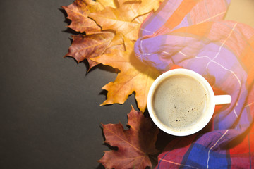 Golden yellow red maple leaves with Cup of hot chocolate or coffee with checkered plaid top, place for text. the concept of autumn