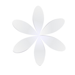 White Paper Flower