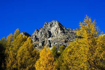 Autumn in the valley of Engadin, Graubünden, Switzerland, Europe