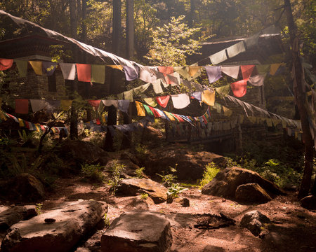 Prayer Flags on the way to Taktshang- Tigers Nest Monastery , Bhutan.