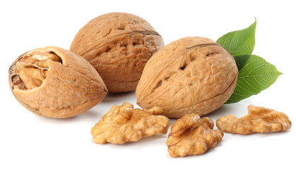 Green walnuts with leaves isolated on a white background