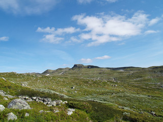 Fototapeta na wymiar Norwegian mountain