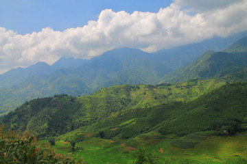 Fototapeta premium Sapa, Vietnam 